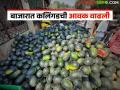 कलिंगडची आवक वाढल्याने दरात घसरण; उत्पादक शेतकऱ्यांत चिंता - Marathi News | Prices fall due to increased arrival of watermelon; Concern among producing farmers | Latest agriculture News at Lokmat.com