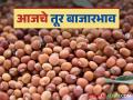 Tur Bajar Bhav : पांढऱ्या तुर दराची लाल तुरीवर मात; वाचा आजचे तूर बाजारभाव - Marathi News | Tur Bazaar Bhav: White Tur Price Beats Red Tur; Read Today's Tur Market Price | Latest agriculture News at Lokmat.com
