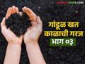 गांडूळ खत निर्मितीसाठी शेतकऱ्यांच्या फायद्याची सोपी पद्धत कोणती? वाचा सविस्तर - Marathi News | What is the simple method for producing vermicompost for the benefit of farmers? Read in detail | Latest agriculture News at Lokmat.com
