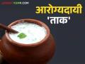 अबब किती हे फायदे; ताकाचे आरोग्यदायी फायदे वाचल्यावर तुम्ही देखील हेच म्हणाल.. - Marathi News | Wow what a lot of benefits; you will also say the same after reading this health benefits of buttermilk | Latest agriculture News at Lokmat.com