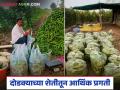 एक एकर दोडका ठरला पारंपरिक शेतीच्या तुलनेत लाख फायद्याचा; वाचा प्रकाशरावांची यशकथा - Marathi News | One acre of Dodaka turned out to be worth lakhs of rupees compared to traditional farming; Read Prakash Rao's success story | Latest agriculture News at Lokmat.com