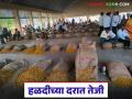 शेतकऱ्यांनी विकल्यावर आता हळदीच्या दरात आली तेजी; सामान्य शेतकरी वंचित मात्र व्यापाऱ्यांची होणार चांदी - Marathi News | Now that farmers have sold, the price of turmeric has risen; ordinary farmers are deprived, but traders will be rich | Latest agriculture News at Lokmat.com