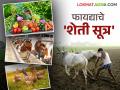 Profitable Farming Formula : एकात्मिक शेती पद्धतीद्वारे उत्पादनात होईल वाढ; आर्थिकतेची भरभराट - Marathi News | | Latest agriculture News at Lokmat.com