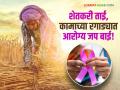 शेतकरी ताई कामाच्या ओघात स्वतःकडे दुर्लक्ष करू नको; 'या' कर्करोगाचे महिलांमध्ये प्रमाण वाढले - Marathi News | Female farmers, don’t neglect yourselves in the rush of work; cases of this cancer are increasing among women | Latest agriculture News at Lokmat.com