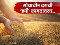 बाजार समित्या मूग गिळून गप्प; रूपये कमी दराने खुलेआम सोयाबीन खरेदी! शासनाची खरेदी केंद्रे सुरू होणार तरी कधी? - Marathi News | Market committees are silent; Soybean is being purchased openly at a low rate! When will the government's procurement centers open? | Latest agriculture News at Lokmat.com