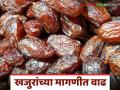 शरीराला ऊर्जा देणाऱ्या खजुरांची मागणी वाढली; किलोमागे ५० ते ६० रुपयांची दरवाढ - Marathi News | Demand for dates, which provide energy to the body, has increased; Price hiked by Rs 50 to 60 per kg | Latest agriculture News at Lokmat.com