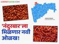 'नंदुरबार'ची जीआय प्राप्त मिरची व तूर होणार देशभर निर्यात; हालचालींना वेग - Marathi News | 'Nandurbar' GI chilli and tur will be exported across the country; activities are accelerating | Latest agriculture News at Lokmat.com