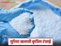 रब्बी पिकांना युरिया मिळेना! विक्रेत्यांची मनमानी पुढे शेतकरी हतबल - Marathi News | Urea not available for Rabi crops! Farmers desperate due to vendors' arbitrariness | Latest agriculture News at Lokmat.com