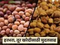 कोणत्या शेतमालाला मिळतोय अधिक भाव? तर कुठे आहे मंदी; जाणून घ्या बाजारपेठेतील सविस्तर स्थिती - Marathi News | Which agricultural product is getting higher price? So where is the slowdown; Know the detailed situation in the market | Latest agriculture News at Lokmat.com