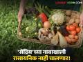 'सेंद्रिय'च्या नावाखाली भलत्याच मालाची खपवाखपवी आता नाही चालणार; कृषी विभागाकडून होणार तपासणी - Marathi News | The sale of fake products under the name of 'organic' will no longer be tolerated; Inspection will be carried out by the Agriculture Department | Latest agriculture News at Lokmat.com