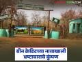 ग्रीन क्रेडिटच्या नावाखाली भ्रष्टाचाराचे कुंपण; नवेगावबांध वनपरिक्षेत्रातील प्रकार - Marathi News | Corruption in the name of green credit; Examples from Navegaon Bandh forest area | Latest agriculture News at Lokmat.com