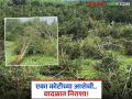 वादळामुळे आठ एकरांवरील डाळिंबाची बाग झाली उद्ध्वस्त अन् क्षणात मुलाला डॉक्टर करायचे स्वप्नही भंगले - Marathi News | The storm destroyed an eight-acre pomegranate orchard and shattered the dream of a son becoming a doctor in an instant. | Latest agriculture News at Lokmat.com