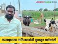 Dairy Farmer Success Story : अल्पभूधारक अनिलरावांची दुधातून अर्थक्रांती; दूध दर कमी असतांनाही मिळतोय नफा - Marathi News | | Latest agriculture News at Lokmat.com