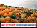 हंगामाच्या शेवटी बाजार वधारले; व्यापाऱ्यांमध्ये संत्रा खरेदीसाठी चढाओढ - Marathi News | Markets rise at the end of the season; traders compete to buy oranges | Latest agriculture News at Lokmat.com