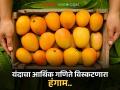 महिनाभर आधीच बागांमधील आंबा यंदा संपला; आर्थिक गणिते विस्कटत आंबा हंगामाची अखेर - Marathi News | Mangoes in the gardens ran out a month ago this year; The mango season ends, throwing financial calculations into disarray | Latest agriculture News at Lokmat.com