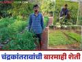Success Story : मुंबईतील नोकरीला फाटा देत धरली शेतीची कास; चंद्रकांतरावांचा मिश्र भाजीपाला उत्पादनाचा नावीन्यपूर्ण ध्यास - Marathi News | Success Story: Leaving a job in Mumbai, he pursued farming; Chandrakantrao's innovative passion for mixed vegetable production | Latest agriculture News at Lokmat.com