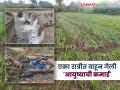 शेतीची वाट निवडली अन् एका रात्रीत उद्ध्वस्त झाली स्वप्नांची दुनिया; करंजीतील तरुण शेतकऱ्याचे हृदयद्रावक वास्तव - Marathi News | He chose the path of farming and his dream world was destroyed overnight; The heartbreaking reality of a young farmer from Karanji | Latest agriculture News at Lokmat.com
