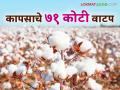गंगापूर तालुक्यात सीसीआय केंद्रांवर कापूस खरेदी पोटी शेतकऱ्यांना ७१ कोटी १७ लाख रुपये वितरित - Marathi News | Rs 71 crore 17 lakh distributed to farmers for cotton purchase at CCI centers in Gangapur taluka | Latest agriculture News at Lokmat.com