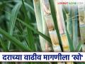 Sugarcane Price : वाढीव ऊस दराची जबाबदारी प्रशासनाने झटकली; यापूर्वीच जाहीर केलेली एफआरपी पुन्हा जाहीर - Marathi News | Sugarcane Price: Administration shrugs off responsibility for increased sugarcane price; FRP announced earlier re-announced | Latest agriculture News at Lokmat.com