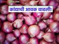 कांदा उत्पादक शेतकऱ्यांच्या हिताचा 'तो' एक निर्णय आणि बाजार समितीत ३५ टक्क्यांनी वाढली कांद्याची आवक - Marathi News | A decision in the interest of onion farmers and onion arrivals in the market committee increased by 35 percent | Latest agriculture News at Lokmat.com