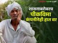 अद्यापपर्यंत एक रुपयाचीही मदत मिळाली नाही; खरिपातील नुकसानभरपाईची शेतकऱ्यांना प्रतीक्षा लागून - Marathi News | Not a single rupee has been received so far; farmers are waiting for compensation for losses in the Kharif season | Latest agriculture News at Lokmat.com