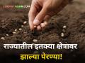 Sowing : राज्यात अद्याप किती क्षेत्रावर झाल्या पेरण्या? कमी पावसामुळे शेतकऱ्यांवर संकटाची भिती - Marathi News | maharashtra state crop sowing report of kharip season 2024 monsoon rain decrease cultivation | Latest agriculture News at Lokmat.com