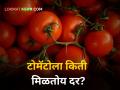 Tomato Rates Today : राज्यातील बाजार समित्यांमध्ये टोमॅटोला किती मिळतोय दर? - Marathi News | Maharashtra Market yard tomato rates today farmer rain monsoon season flood sowing cultivation tomato | Latest agriculture News at Lokmat.com