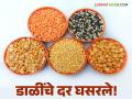 आयातीने साधला डाव; देशी डाळींचा मात्र कमी झाला भाव - Marathi News | Imports have succeeded; however, the prices of domestic pulses have decreased | Latest agriculture News at Lokmat.com
