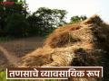 पशुखाद्य निर्मितीपासून ते सेंद्रिय 'पल्प'पर्यंत, तणसापासून करता येणारे अनेक व्यवसाय, वाचा सविस्तर  - Marathi News | latest news animal feed production to organic 'pulp', there are many businesses from weeds, read in detail | Latest agriculture News at Lokmat.com