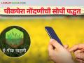 E-Pik Pahani : माझी शेती, माझा सातबारा; मीच नोंदविणार पीकपेरा - Marathi News | E-Pik Pahani: My farm, my seven-fold; I will record the crop and sowing | Latest agriculture News at Lokmat.com
