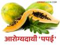 हृदयापासून त्वचेपर्यंत गुणकारी आहे पपई; वाचा पपईचे आरोग्यदायी फायदे - Marathi News | Papaya is beneficial from heart to skin; Read the health benefits of papaya | Latest agriculture News at Lokmat.com