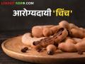 विविध आरोग्याच्या समस्येवर चिंच आहे रामबाण उपाय; वाचा चिंचेचे आरोग्यदायी फायदे - Marathi News | | Latest agriculture News at Lokmat.com