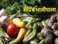 आरोग्य जपणारा सेंद्रिय भाजीपाला मिळतो कुठे? - Marathi News | Where to get healthy organic vegetables? | Latest agriculture News at Lokmat.com