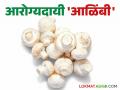 काय सांगताय...! मशरूम खाण्याने होताहेत इतके सारे फायदे; वाचा सविस्तर - Marathi News | What can I say...! There are so many benefits of eating mushrooms; Read in detail | Latest agriculture News at Lokmat.com