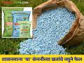 शासनमान्य कंपनीच्या खतांचे नमुने फेल; शेतकऱ्यांची झाली फसवणूक - Marathi News | Fertilizer samples from government approved companies fail; Farmers were cheated | Latest agriculture News at Lokmat.com