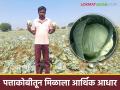 Success Story : धनंजयरावांच्या कष्टाचे झाले सोने; एक एकर पत्ताकोबीतून अडीच लाखांचे उत्पन्न - Marathi News | Success Story: Dhananjay Rao's hard work turned into gold; Income of Rs. 2.5 lakhs from one acre of cabbage | Latest agriculture News at Lokmat.com
