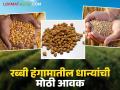 चोपडा बाजार समितीत हरभरा, मका, तूर, गहू, दादर ज्वारीची होतेय विक्रमी आवक; वाचा किती मिळतोय दर - Marathi News | Record arrival of gram, maize, tur, wheat, Dadar jowar in Chopra Market Committee; Read how much is being received | Latest agriculture News at Lokmat.com
