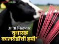 Dairy Animal Breeding : उच्च दूध उत्पादनाची कालवड आता गोठ्यातच तयार होणार; 'या' सिमेन स्टेशनची मिळणार घरपोहच सेवा - Marathi News | Dairy Animal Breeding: High milk yield will now be created in the cowshed itself; Door-to-door service will be available from 'Ya' Simen Station | Latest agriculture News at Lokmat.com