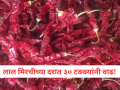 Red Chilli Price Hike: लाल मिरचीच्या दराचा भडका; खिशाला बसणार झटका! - Marathi News | Red Chillies Get Spicier! Prices Surge by 30 Percentages Due to Crop Damage | Latest kolhapur News at Lokmat.com
