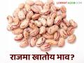 लातूर बाजार समितीत सोयाबीन आणि राजमा आवक वाढली; वाचा काय मिळतोय दर - Marathi News | Soybean and kidney beans arrivals increased in Latur Market Committee; Read what is the price being offered | Latest agriculture News at Lokmat.com