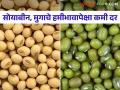 Market Update : पोळा, गणेशोत्सवानिमित्त बाजारात ग्राहकांची लगबग; सोयाबीन अन् मुगाचे दर सरकारी हमीभावापेक्षा झाले कमी - Marathi News | Market Update: On the occasion of Pola, Ganeshotsav, there is a rush of customers in the market; Soybean and mungbean prices fell below the government guaranteed price | Latest agriculture News at Lokmat.com