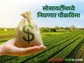 Crop Insurance संगणकीकरणाने सोसायट्यांना काढता येणार शेतकऱ्यांचा पीकविमा - Marathi News | Crop Insurance Computerized societies can take out crop insurance for farmers | Latest agriculture News at Lokmat.com