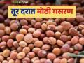 Tur Market : डिसेंबर महिन्याच्या तुलनेत दर कमालीचे घसरले; तूर विकायची की ठेवायची शेतकऱ्यांसमोर प्रश्न - Marathi News | Tur Market: Prices have fallen drastically compared to December; Farmers face the question of whether to sell or keep tur | Latest agriculture News at Lokmat.com