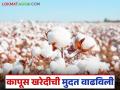 राज्यातील कापूस खरेदीची मुदत १५ मार्चपर्यंत वाढविली; जाणून घ्या सविस्तर - Marathi News | Cotton procurement deadline in the state extended till March 15; Know the details | Latest agriculture News at Lokmat.com