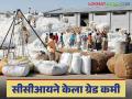 Cotton Market : रुईच्या झडतीवर ठरतो कापसाला भाव; शेतकऱ्यांना दरवाढीची आस - Marathi News | Cotton Market: Cotton prices are determined by the price of cotton; Farmers hope for a price hike | Latest agriculture News at Lokmat.com