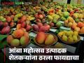 पाच जिल्ह्यातील शेतकऱ्यांचा सहभाग असलेल्या राज्यातील 'या' आंबा महोत्सवात ३३.६० लाखांची उलाढाल - Marathi News | The state's 'Ya' mango festival, with the participation of farmers from five districts, generated a turnover of Rs 33.60 lakhs | Latest agriculture News at Lokmat.com