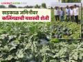 खडकाळ जमिनीवर कलिंगडातून नऊ लाखांचे उत्पन्न; गंगापूर येथील शेतकऱ्याचा यशस्वी प्रयोग - Marathi News | Income of nine lakhs from watermelon on rocky land; Successful experiment of farmer from Gangapur | Latest agriculture News at Lokmat.com