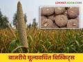 Bajra Biscuits : आरोग्यदायी आणि स्वादिष्ट बाजरीचे मूल्यवर्धित बिस्किट्स - Marathi News | Bajra Biscuits : Healthy and delicious Bajra value added biscuits | Latest agriculture News at Lokmat.com