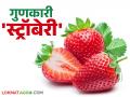 आरोग्यदायी स्ट्रॉबेरी वाढविणार रोगप्रतिकारशक्ती; वाचा गुणकारी फायदे - Marathi News | Healthy strawberries will boost immunity; Read the beneficial benefits | Latest agriculture News at Lokmat.com