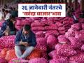 Kanda Bajar Bhav : मुंबई ते नागपूर राज्यात कुठे मिळतोय कांद्याला सर्वाधिक दर; वाचा आजचे कांदा बाजारभाव - Marathi News | Kanda Bazaar Bhav: Where in the state from Mumbai to Nagpur is the highest price for onion; Read today's onion market price | Latest agriculture News at Lokmat.com